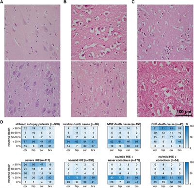 Survival, but not the severity of hypoxic–ischemic encephalopathy, is associated with higher mean arterial blood pressure after cardiac arrest: a retrospective cohort study